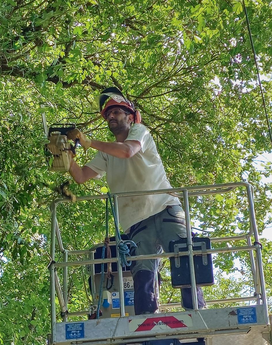 Chantier d'entretien de jardin réalisé par Entre Deux Feuilles, paysagiste du réseau Factotum, près de Fleurance